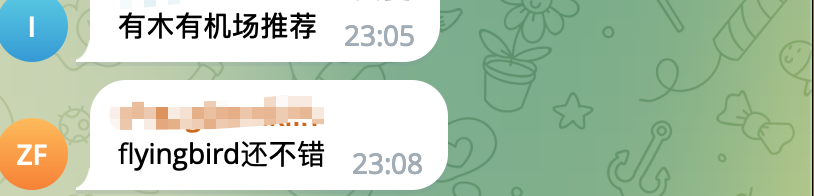 2024便宜BGP多入口专线机场推荐-飞鸟flyingbird机场怎么样- Xulala