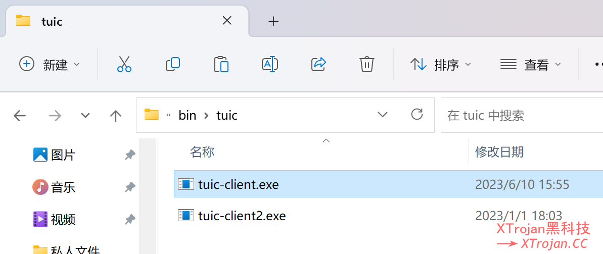 使用一键脚本部署 tuic v5 节点的图文教程- Xulala