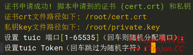 使用一键脚本部署 tuic v5 节点的图文教程- Xulala