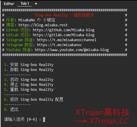 使用一键脚本搭建基于Sing-box内核的VLESS Reality节点- Xulala