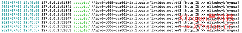 搭建 V2-ui 的Xray面板，配合 WireGuard WARP 添加 IPv6，解锁奈飞 (Netflix)非自制剧！- Xulala