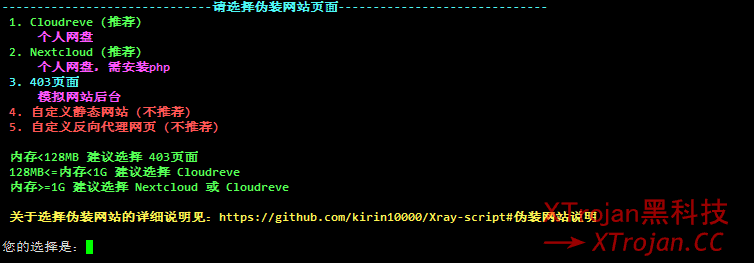 Xray教程 VLESS + XTLS Xray 服务器安装使用详解- Xulala