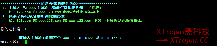 Xray教程 VLESS + XTLS Xray 服务器安装使用详解- Xulala