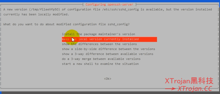 [一键Snell搭建教程2021]Hostdare服务器+Snell内核+Trojan-Qt5客户端科学上网，速度超越SSR！- Xulala