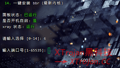 搭建隧道中转线路 NAT VPS 的图文使用教程- Xulala