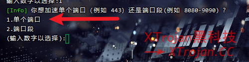 搭建隧道中转线路 NAT VPS 的图文使用教程- Xulala