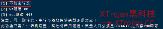 国内中转配合Cloudflare优选IP瞬间起飞，拯救垃圾/被墙节点- Xulala